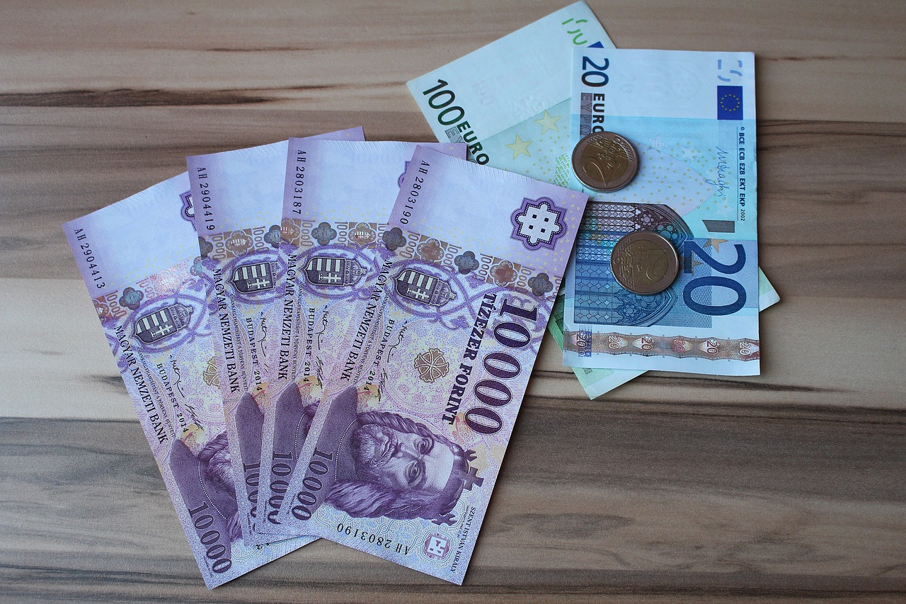 Když mají podnikatelé potíže